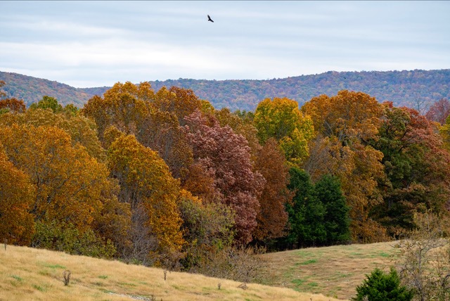 New Arkyland! by Brian Howard