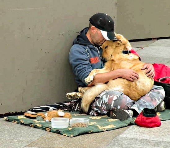 Homeless by Mark Fox