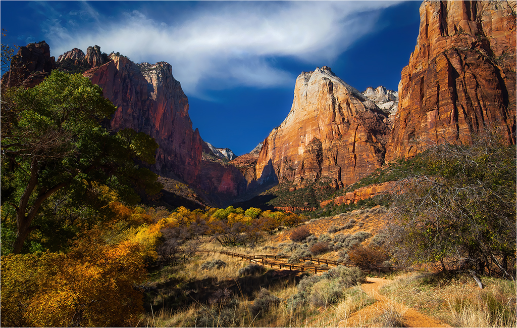 Horse Trail in Zion by Charles Walker