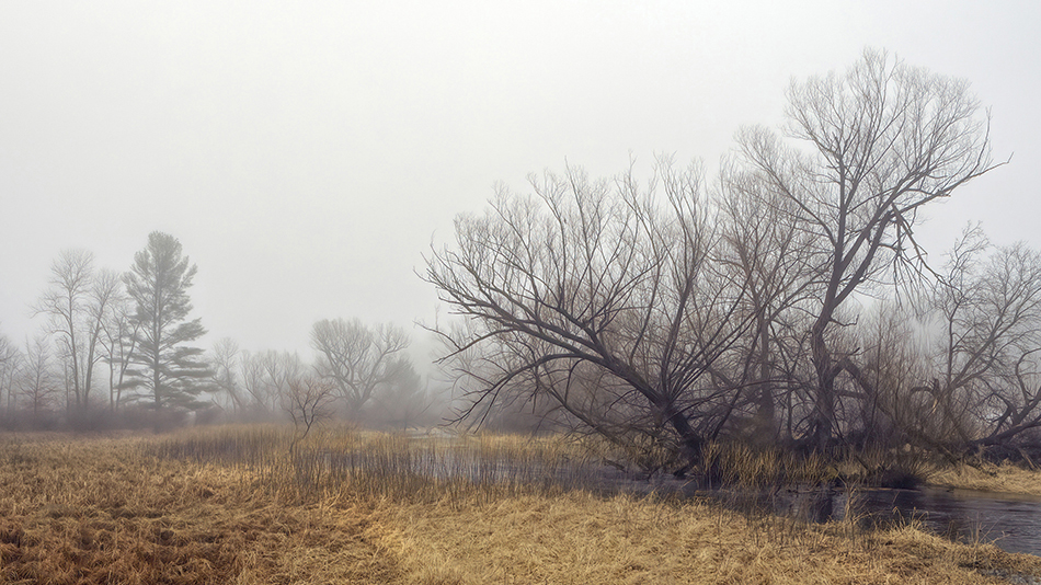 Marshland Fog by Trey Foerster