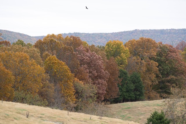 December 2025 - Brian Howard