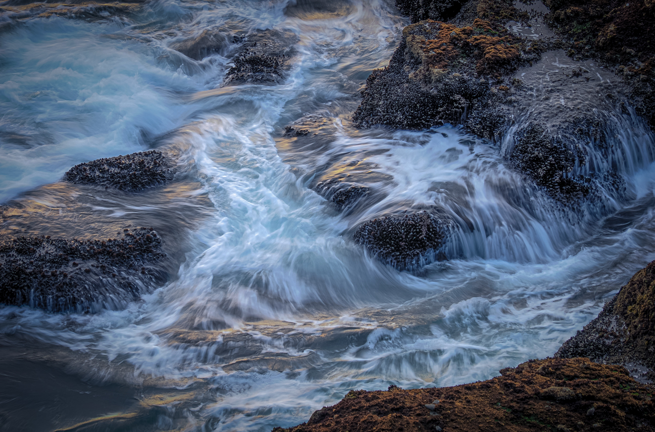 View of Waves from Cape Flatter Trail by Quang Phan