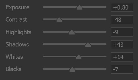 November 2025 - Quang Phan