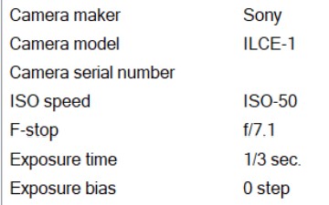 November 2025 - Quang Phan