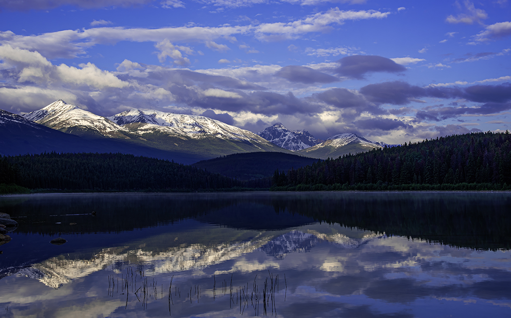 North Shore of Patricia Lake by Charles Walker