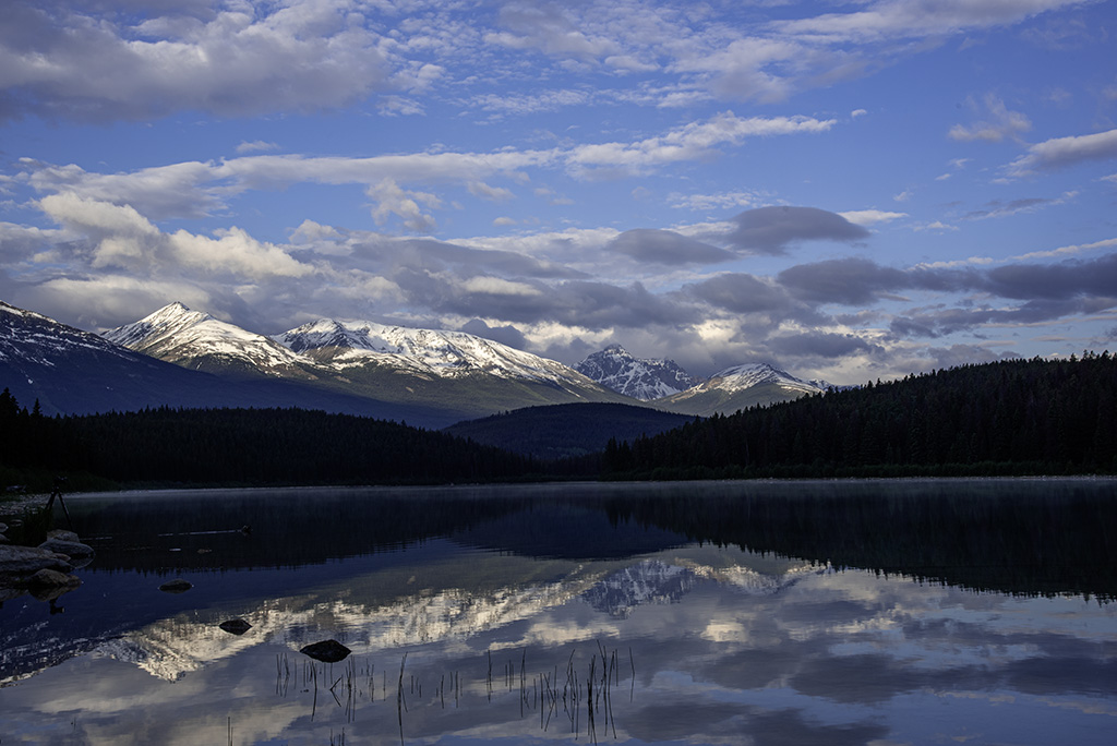 December 2025 - Charles Walker