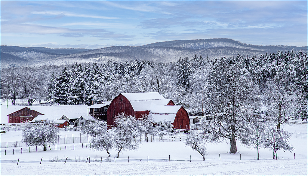 Red Barn Farm by Charles Walker