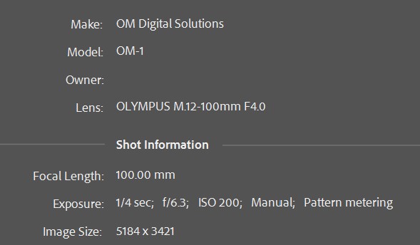 December 2025 - Quang Phan