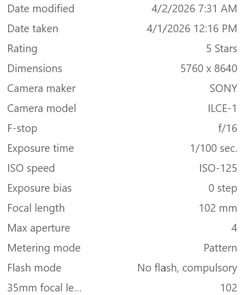 April 2026 - Quang Phan