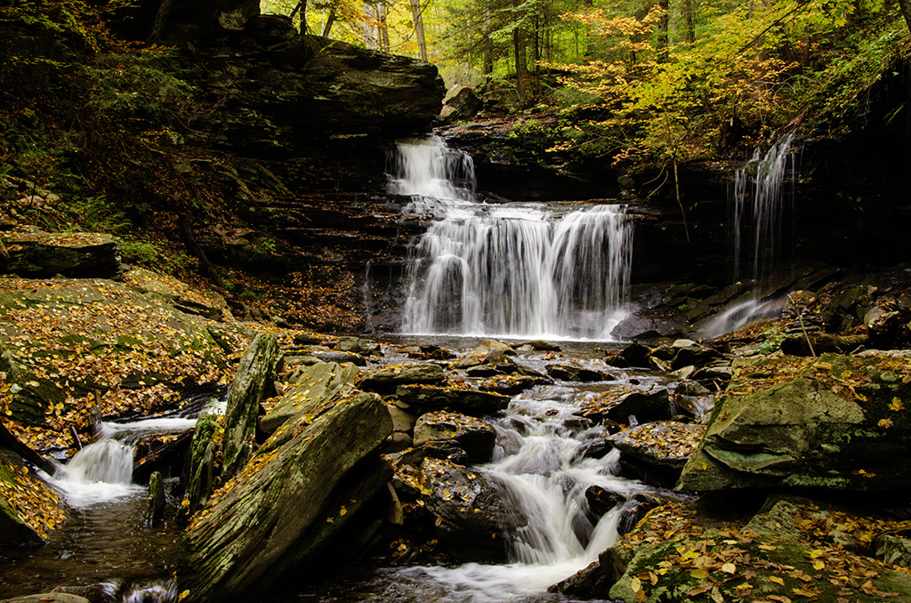 November 2025 - Charles Walker