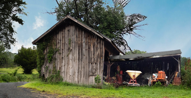 November 2025 - Mark Fox