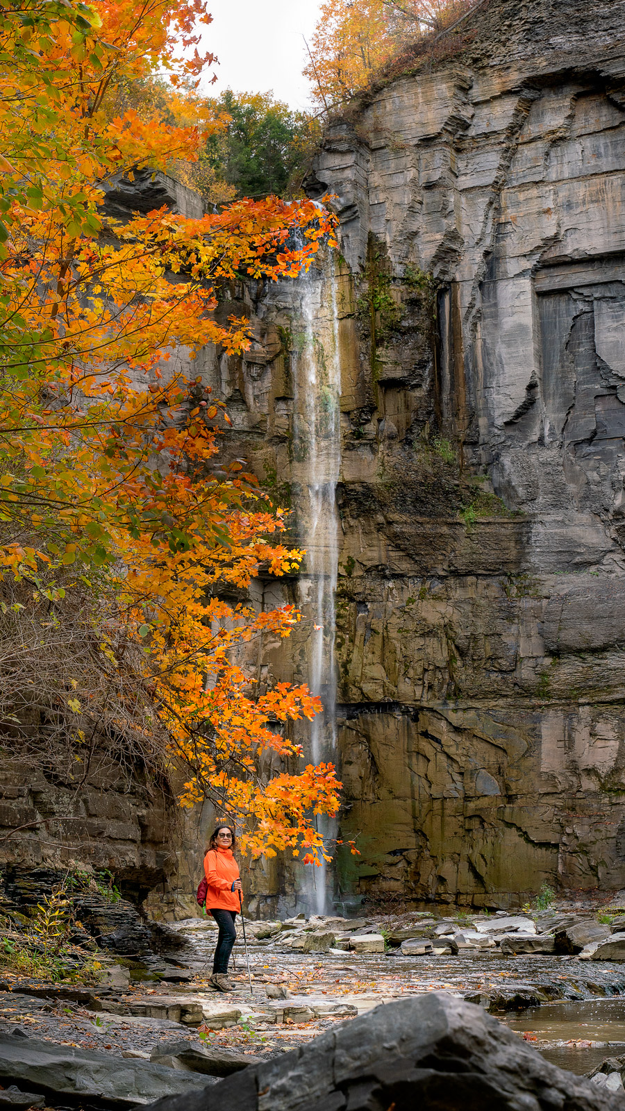 Taughannock Falls in autumn with golden leaves by Quang Phan