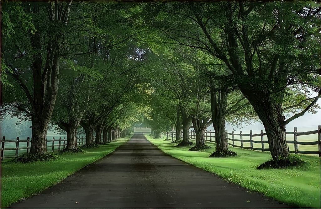 Comment Image