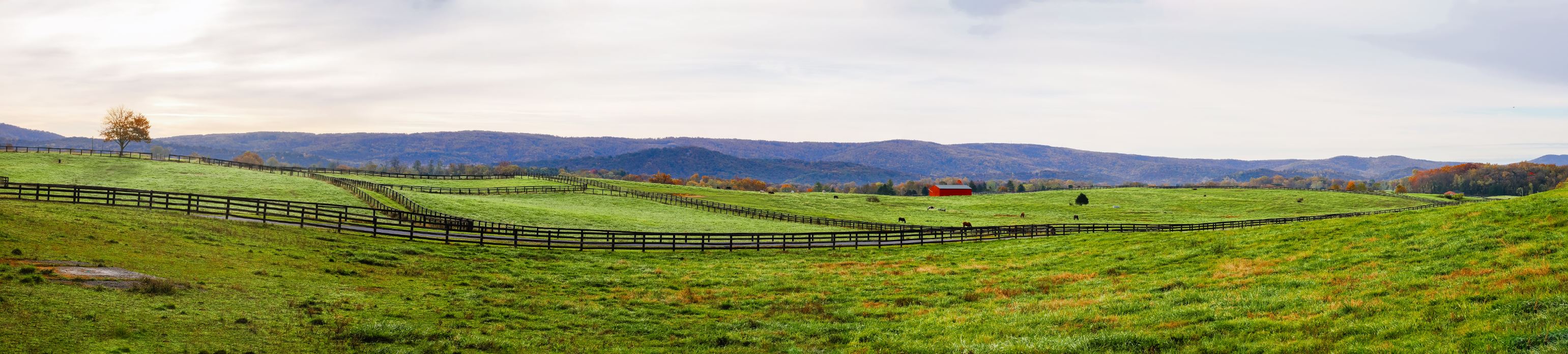 Long Branch Farm Paranoma by Quang Phan