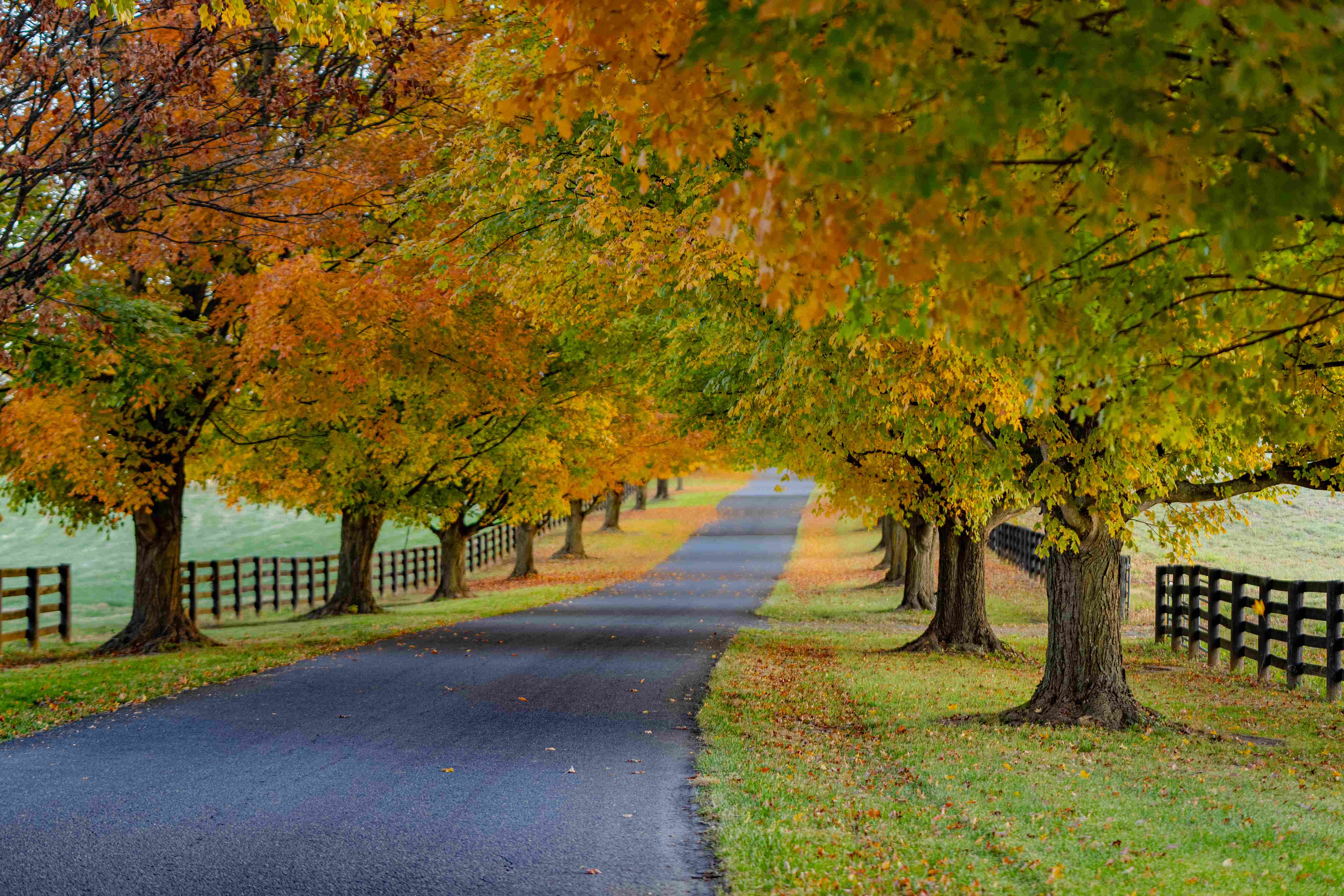 Long Branch Historic  Farm by Quang Phan