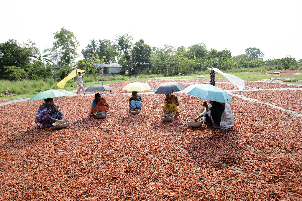 April 2026 - Sanat Kumar Karmakar