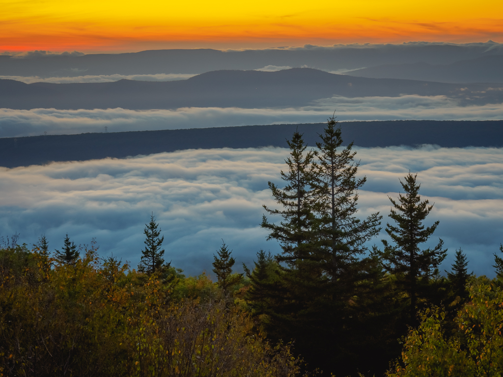 Autumn Sunrise at Dolly Sods, WV by Debby Berlyne