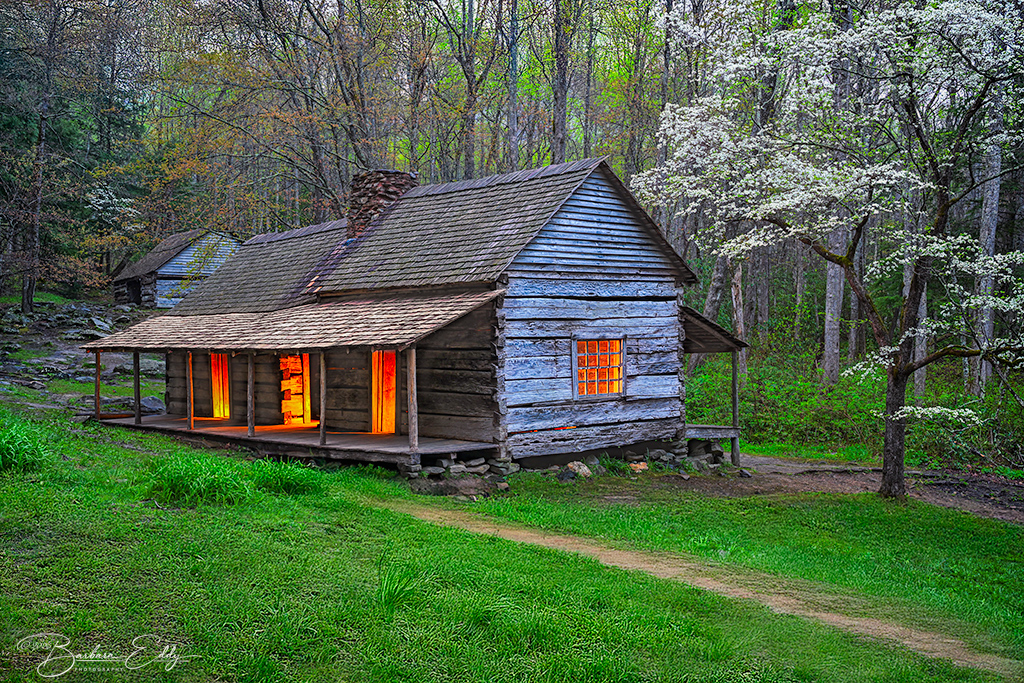Ogle Cabin  by Barbara Eddy
