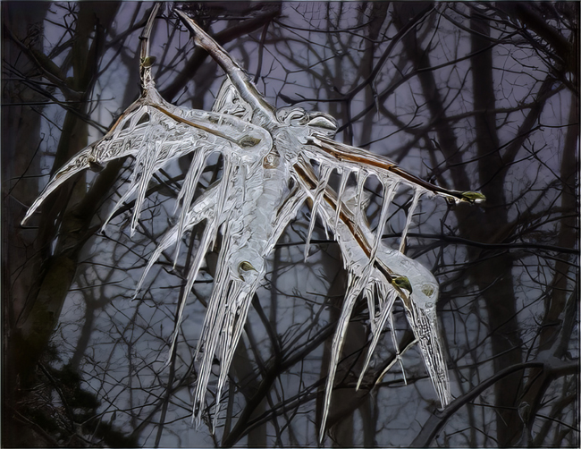 Ice Creature by Janet Pieper