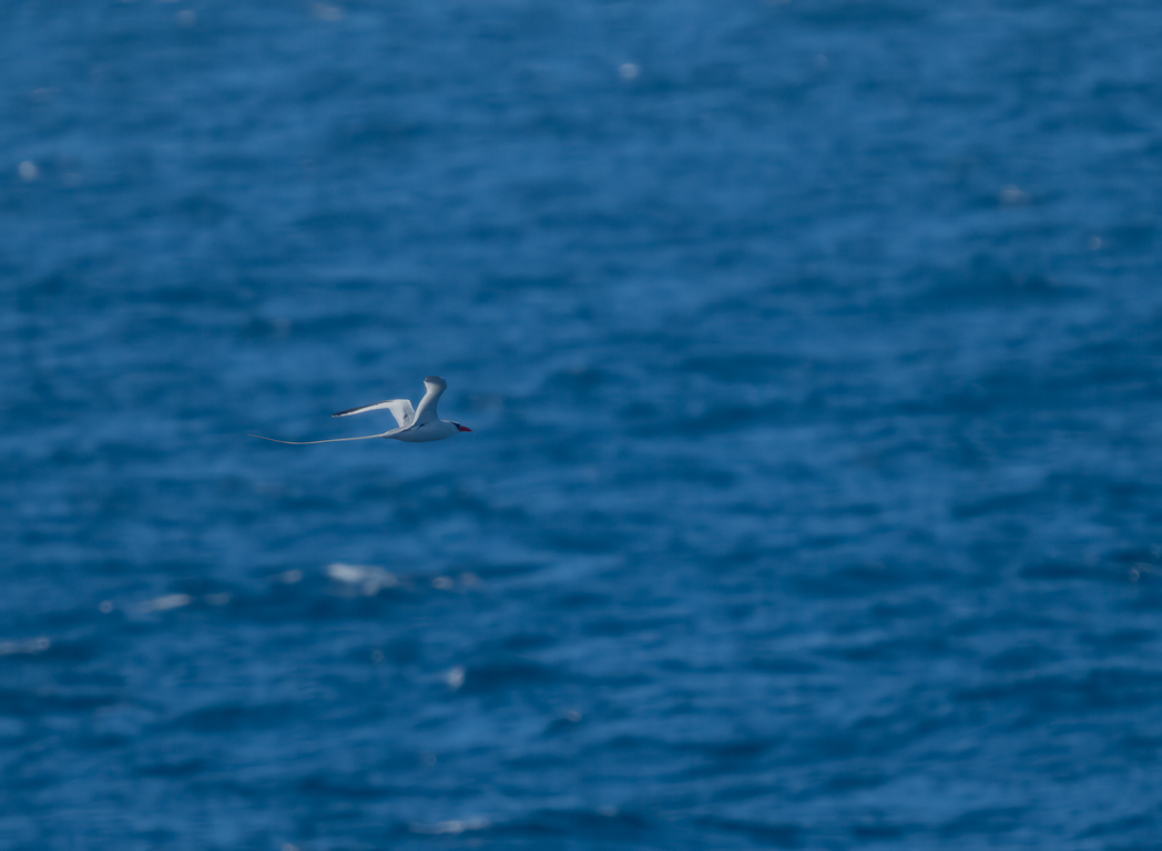 December 2025 - Adrian Binney, EPSA, LRPS