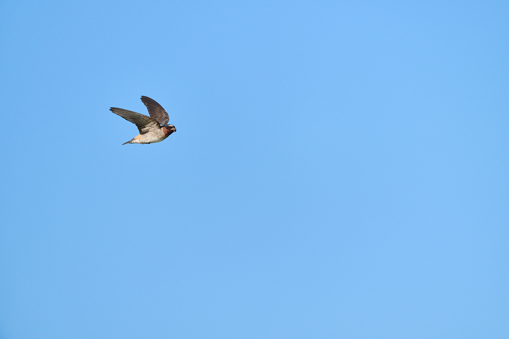 April 2026 - Cindy Marple