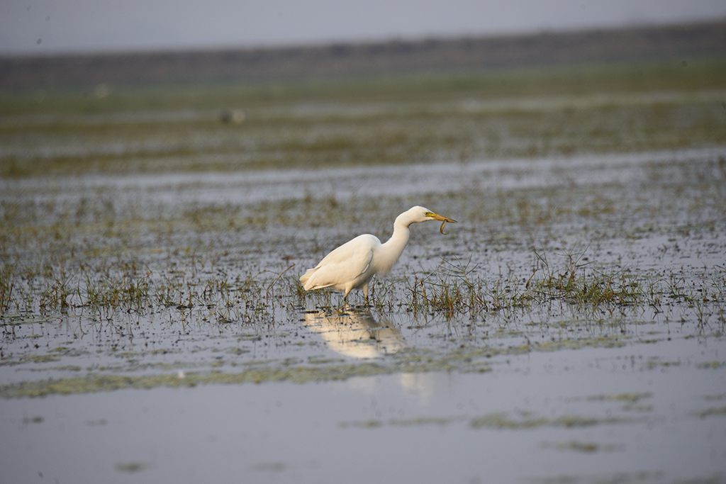 December 2025 - Sanat Kumar Karmakar