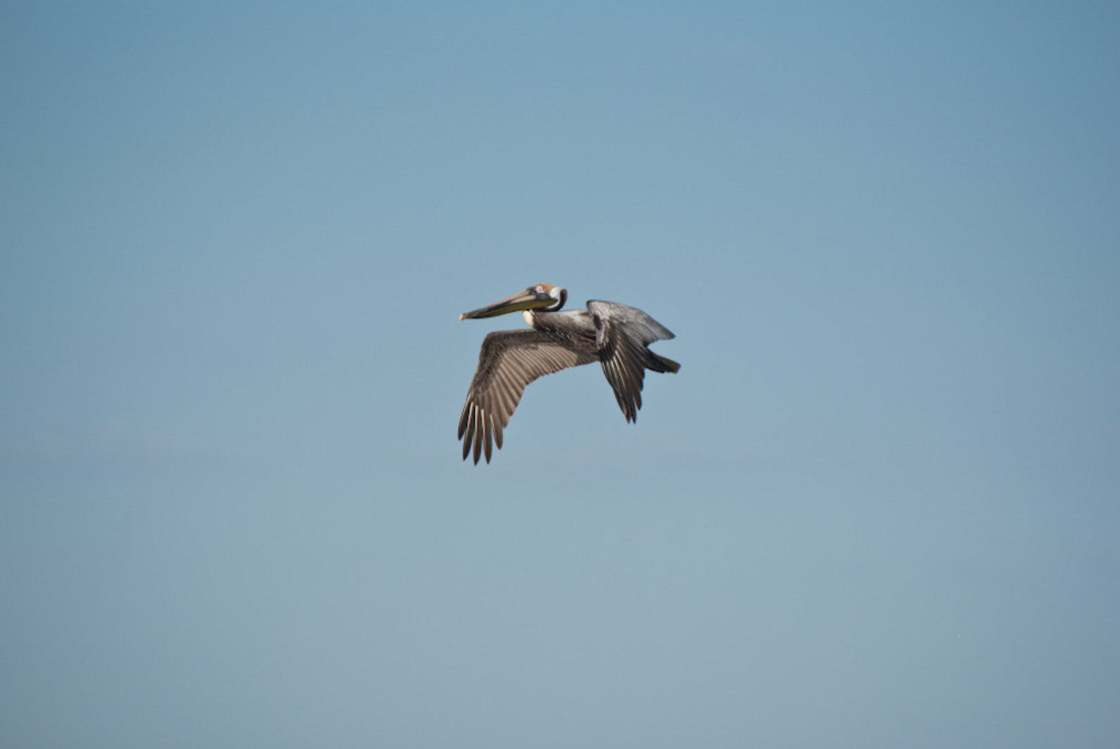 April 2026 - Jerry Biddlecom