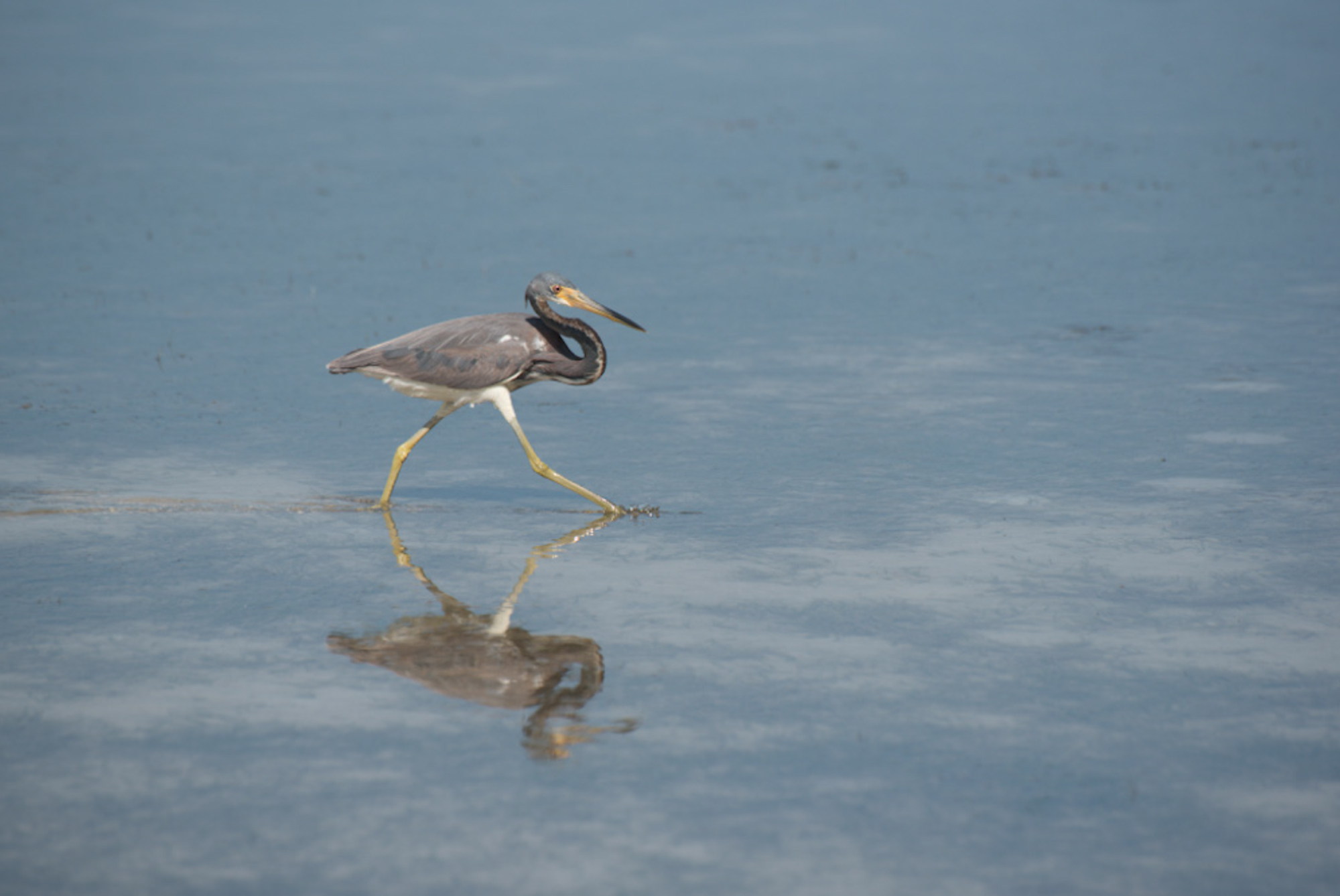 November 2025 - Jerry Biddlecom