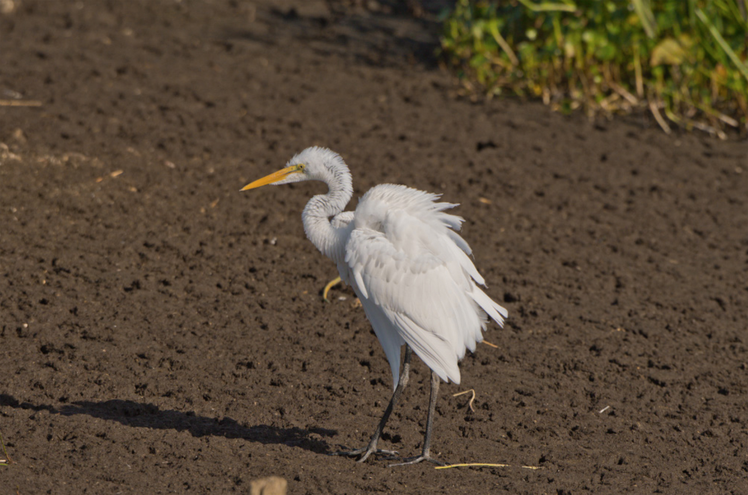 December 2025 - Jerry Biddlecom
