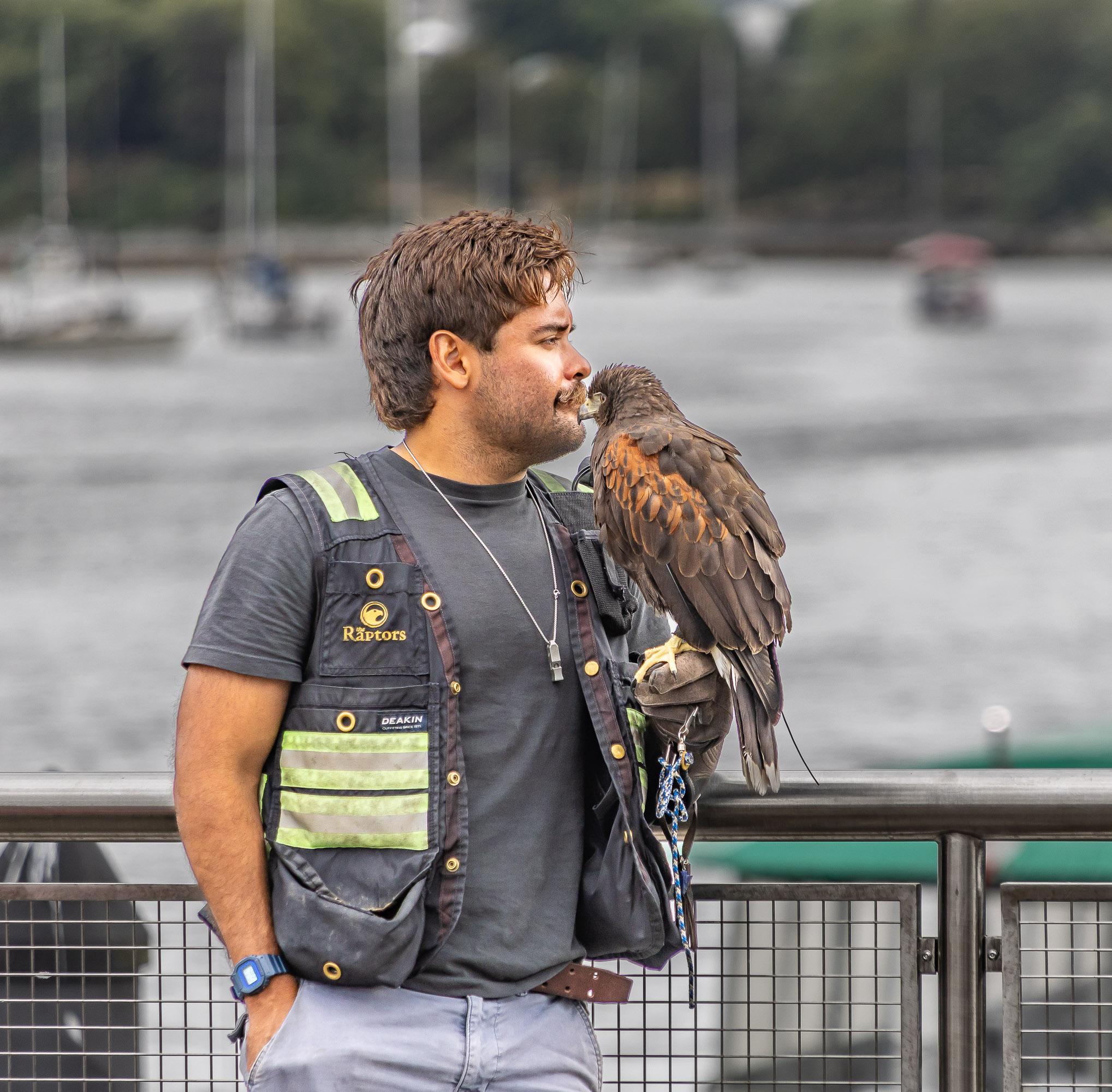 Waiting for a Ride by Lou McLove