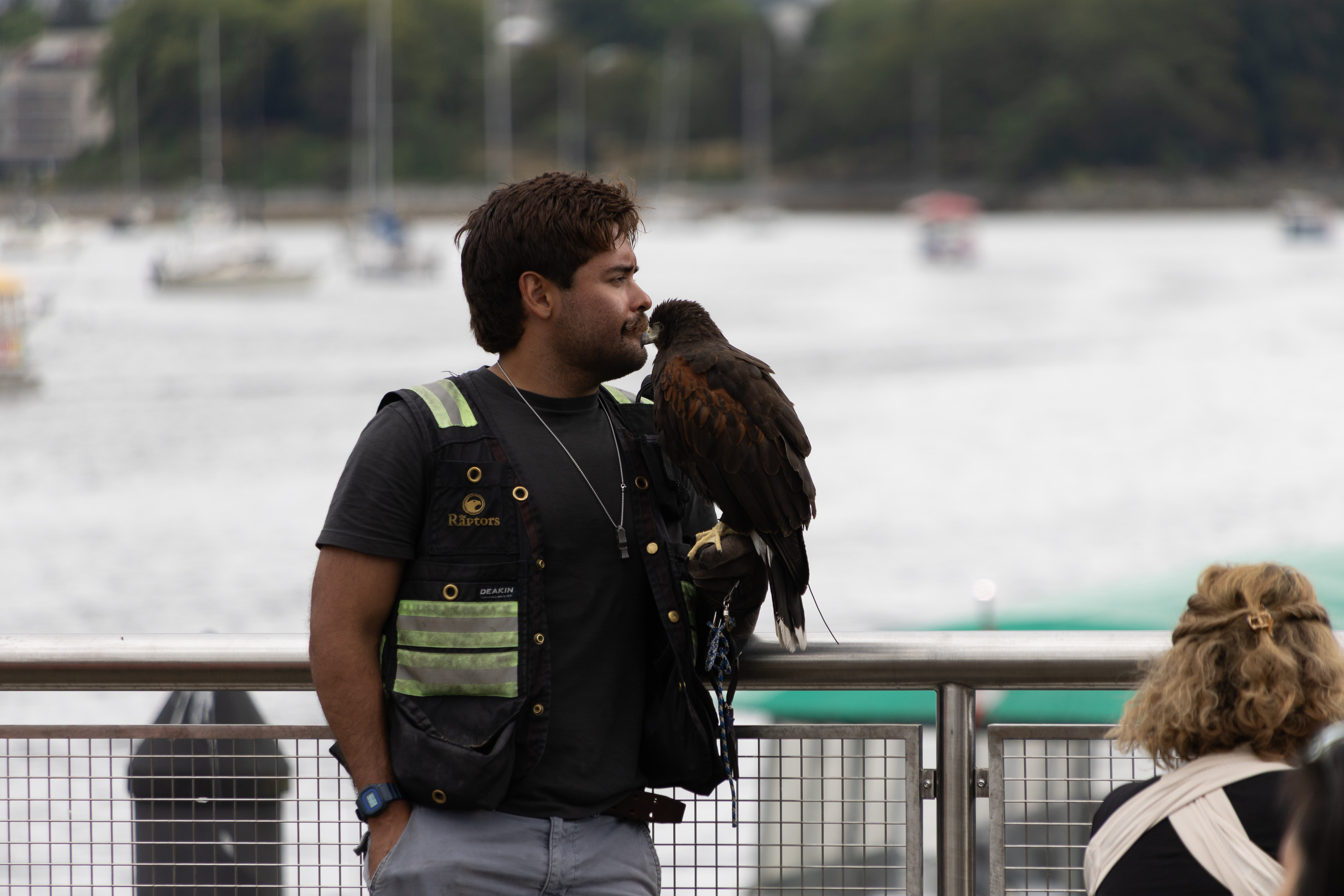 December 2025 - Lou McLove