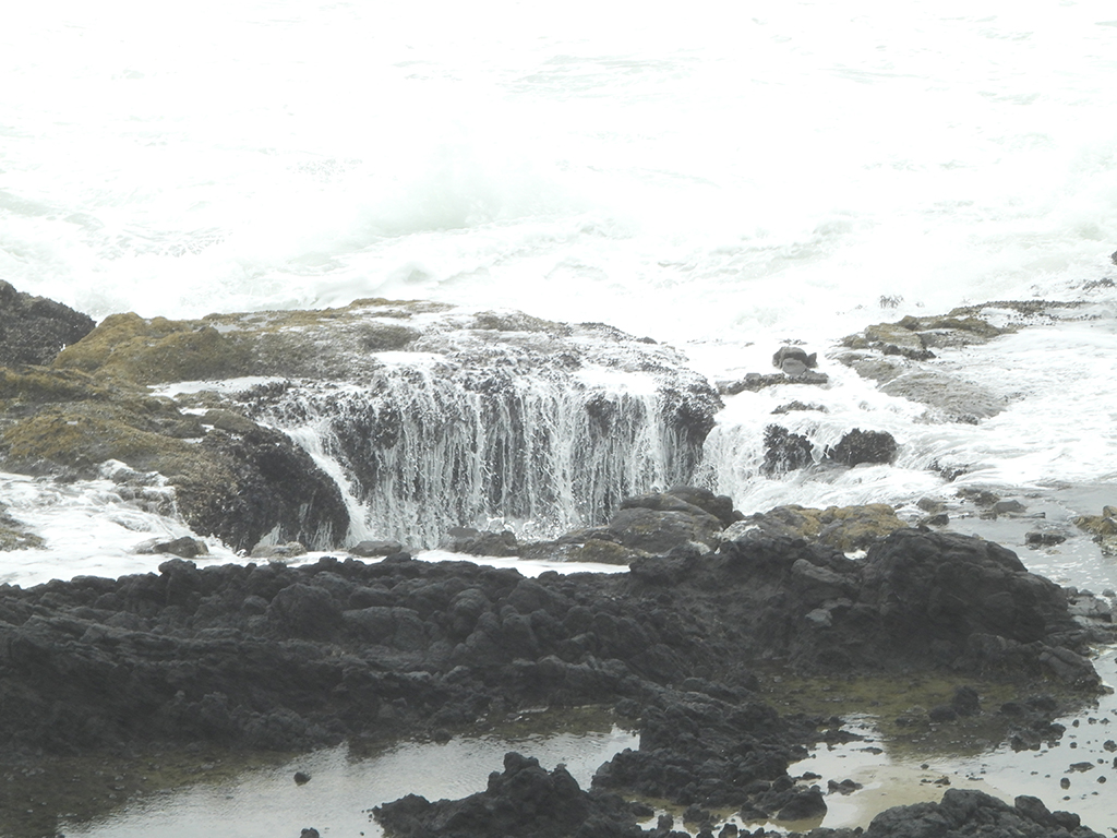 December 2025 - Darcy Quimby