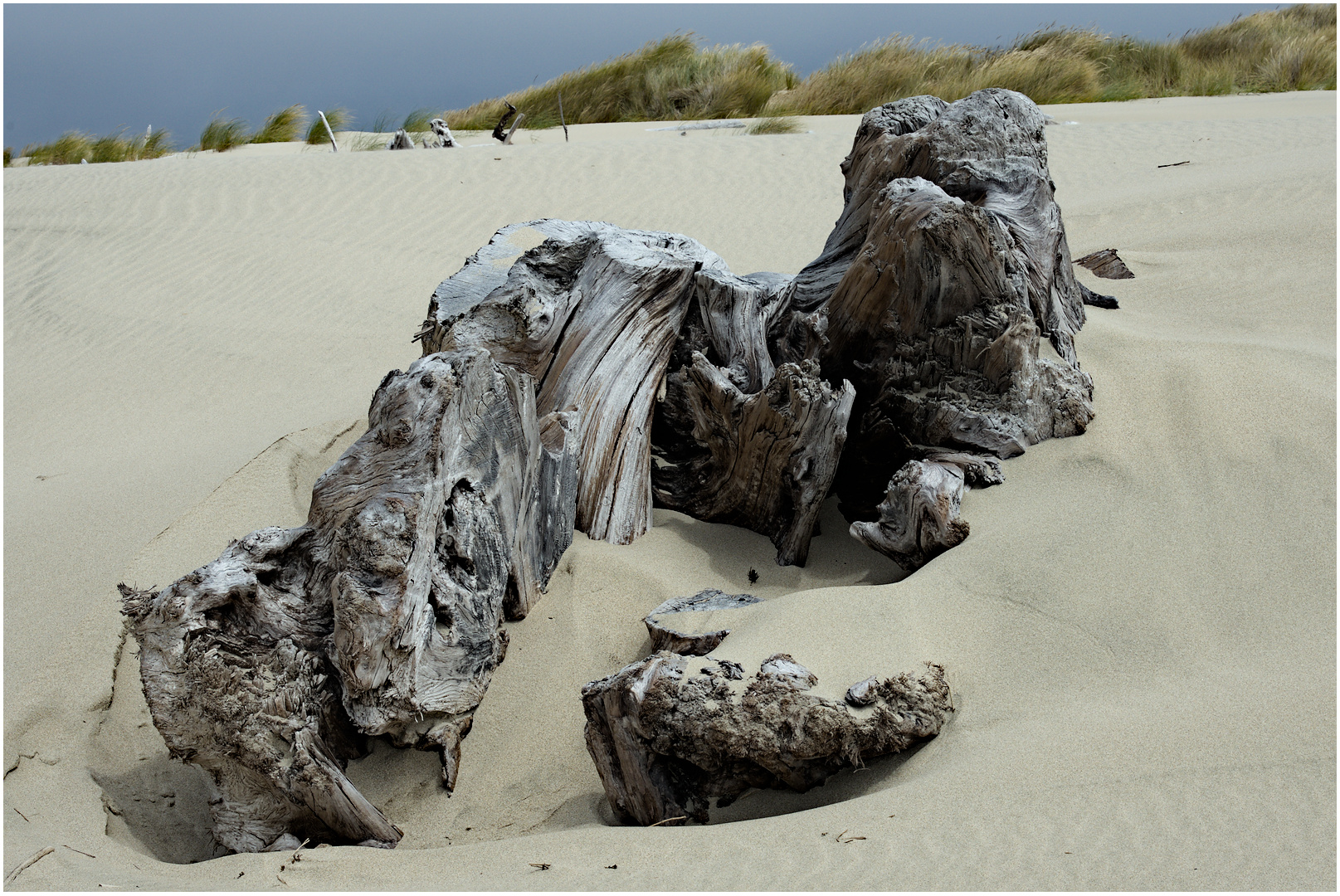 April 2026 - Ed O&rsquo;Rourke