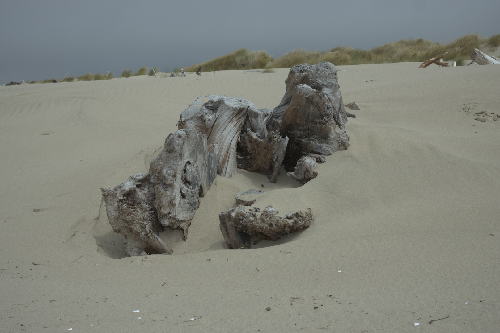 April 2026 - Ed O&rsquo;Rourke