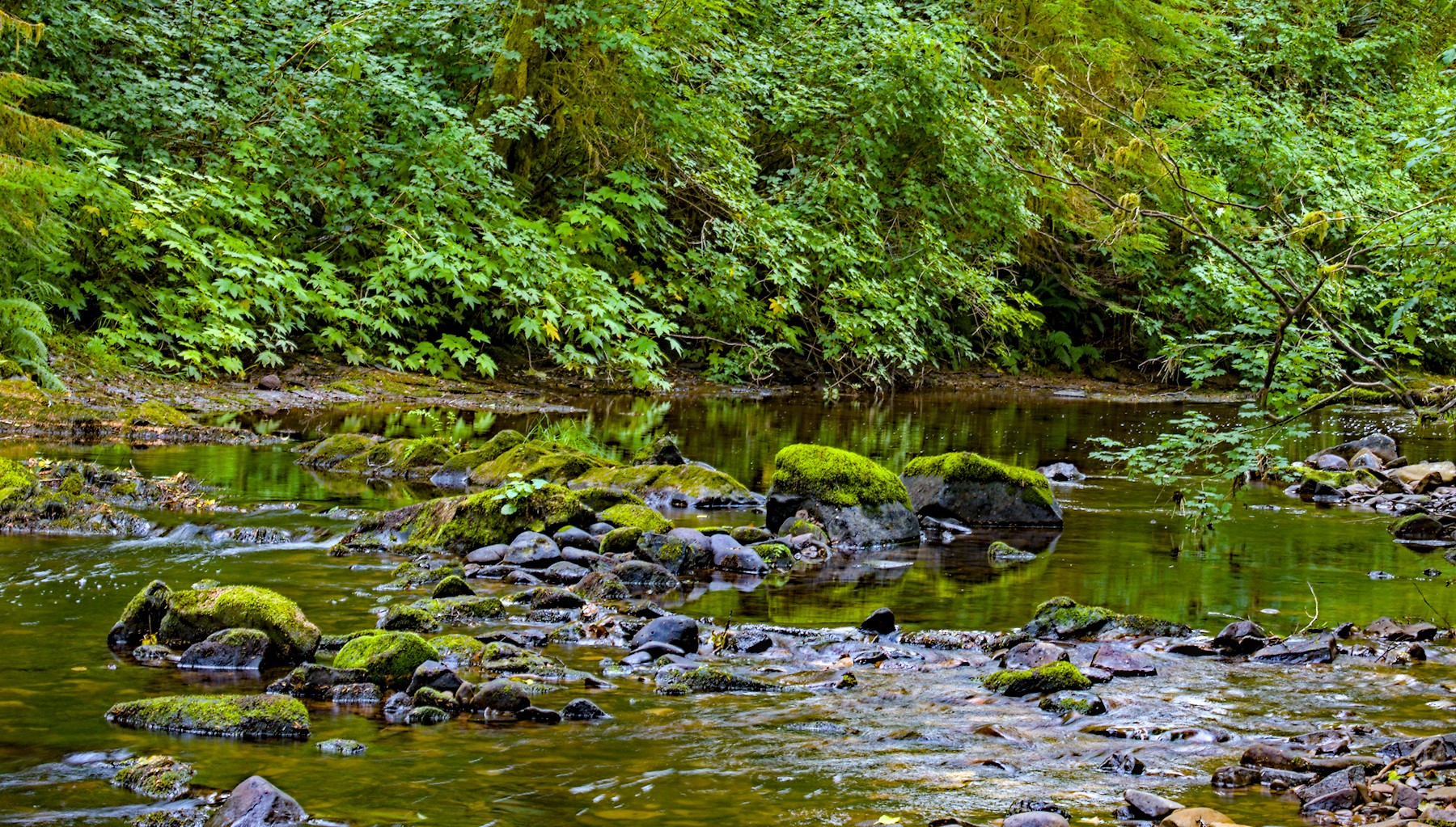 Sweet Creek by Ed O’Rourke