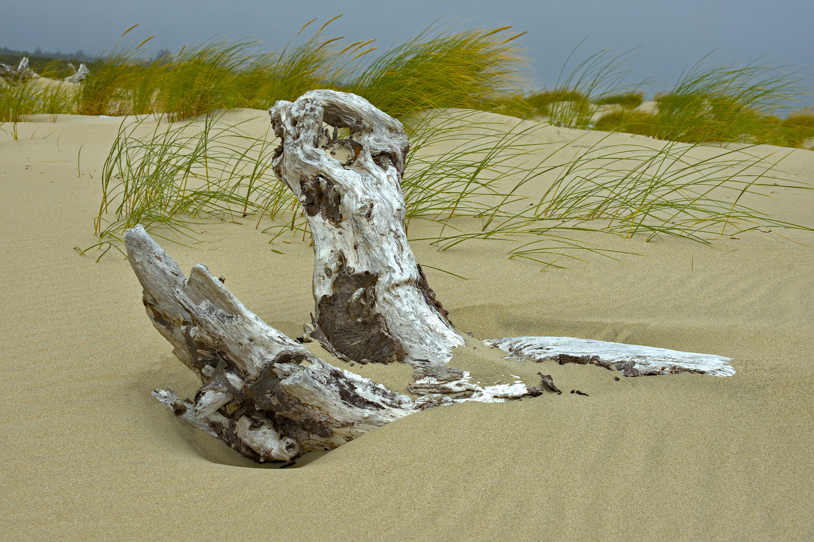 Beach Sculpture by Ed O’Rourke