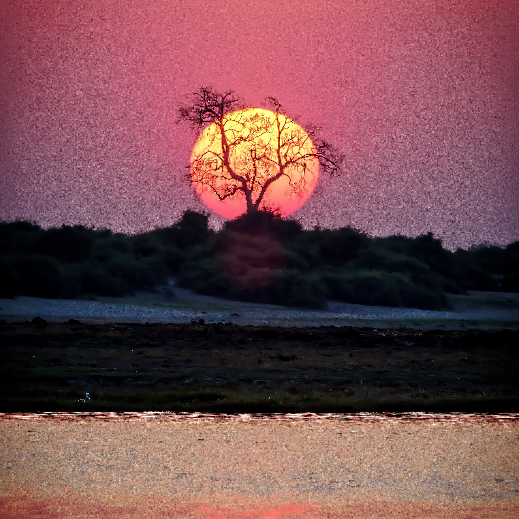 Chobe River Sunset by Jerry Paskowitz