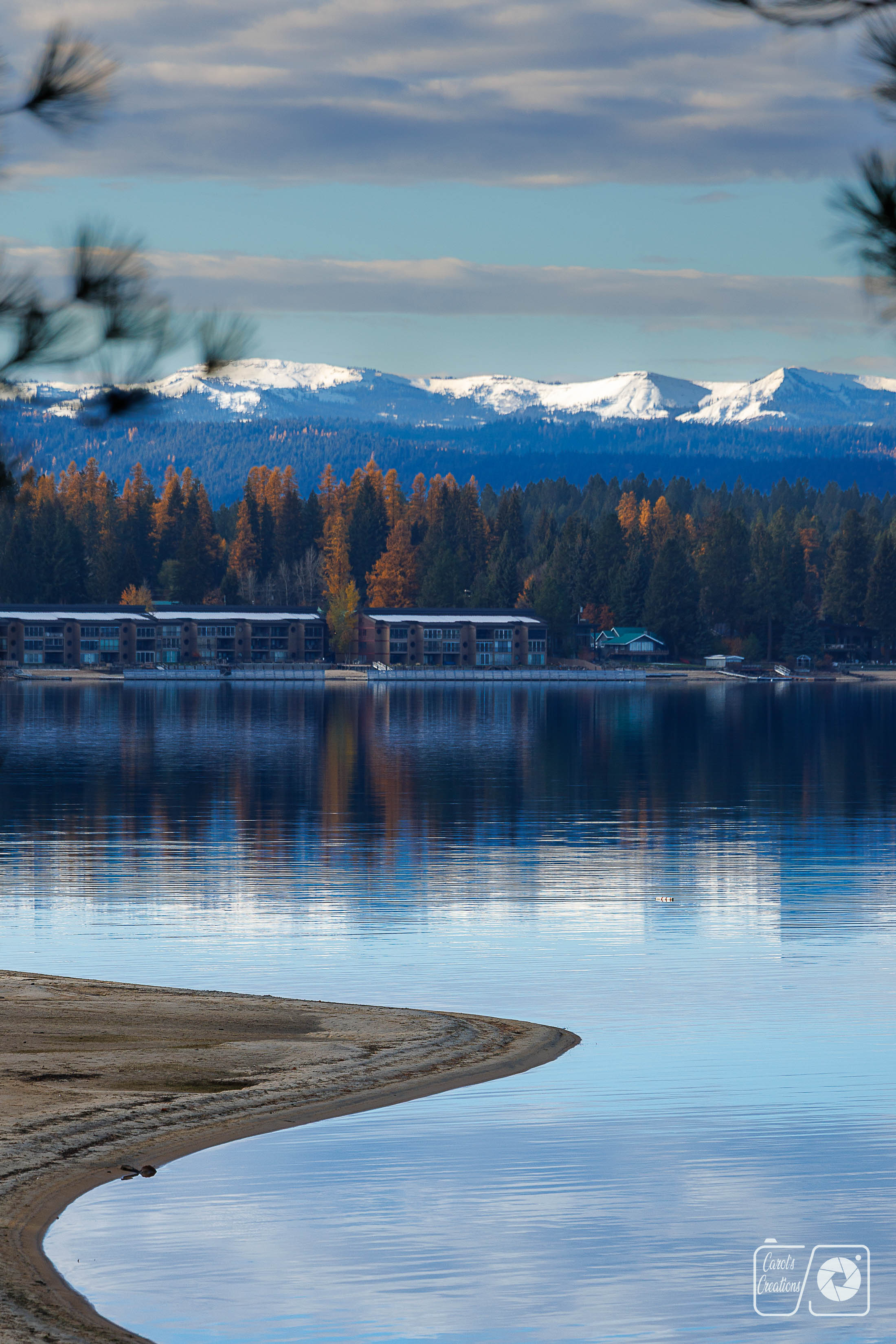 Everyone is Beautiful by Carol Dunn-Martinez