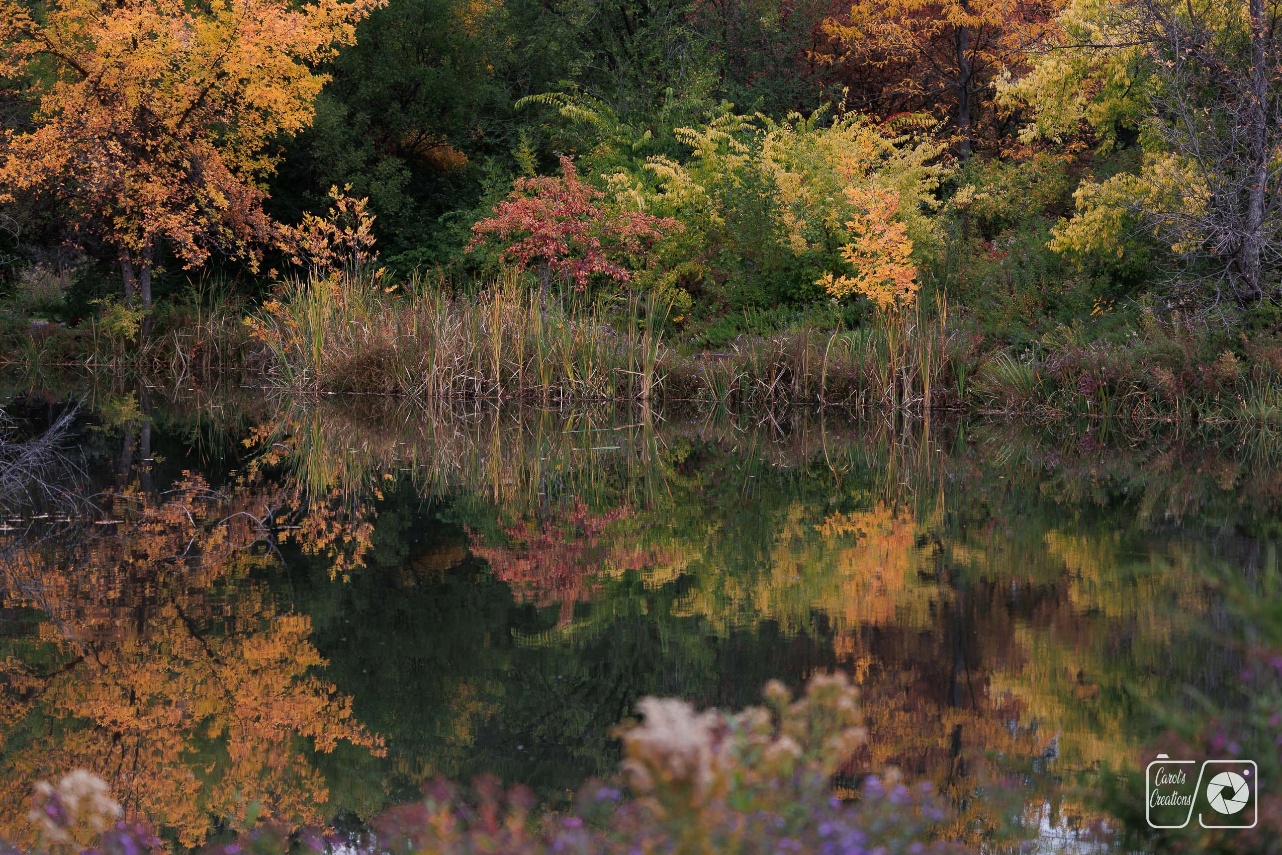 Colors & Reflections by Carol Dunn-Martinez