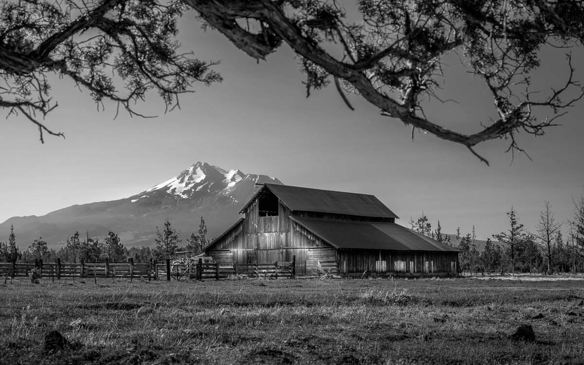 Mt Shasta & Barn by Dawn Gulino