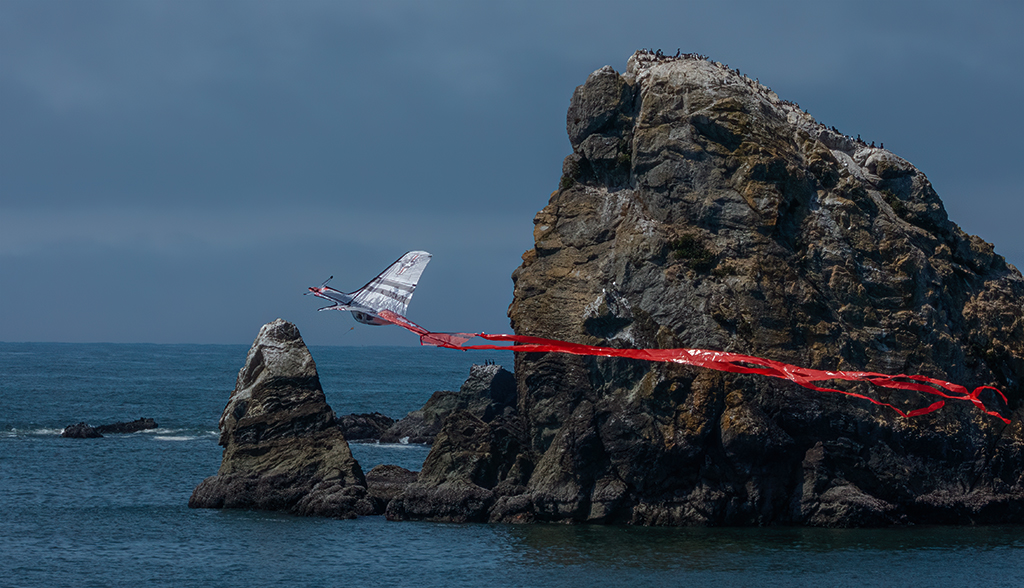 Fly By by Darcy Quimby