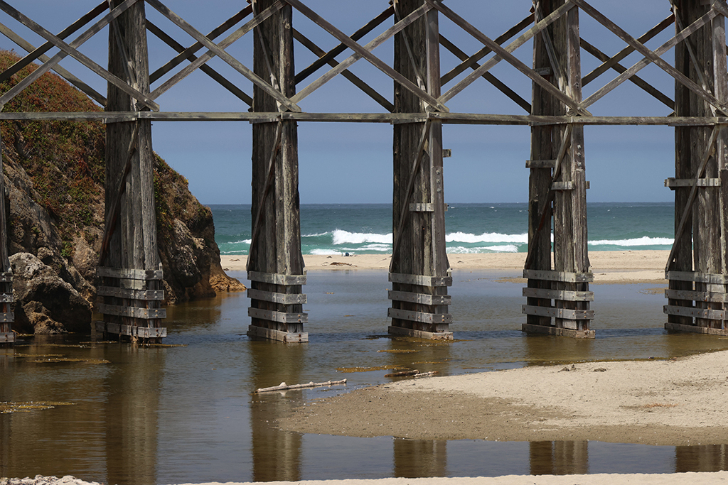 November 2025 - Darcy Quimby