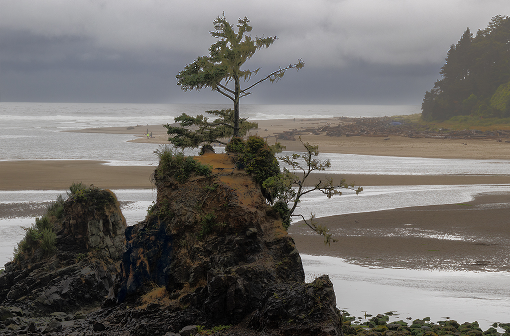 Standing Alone by Darcy Quimby