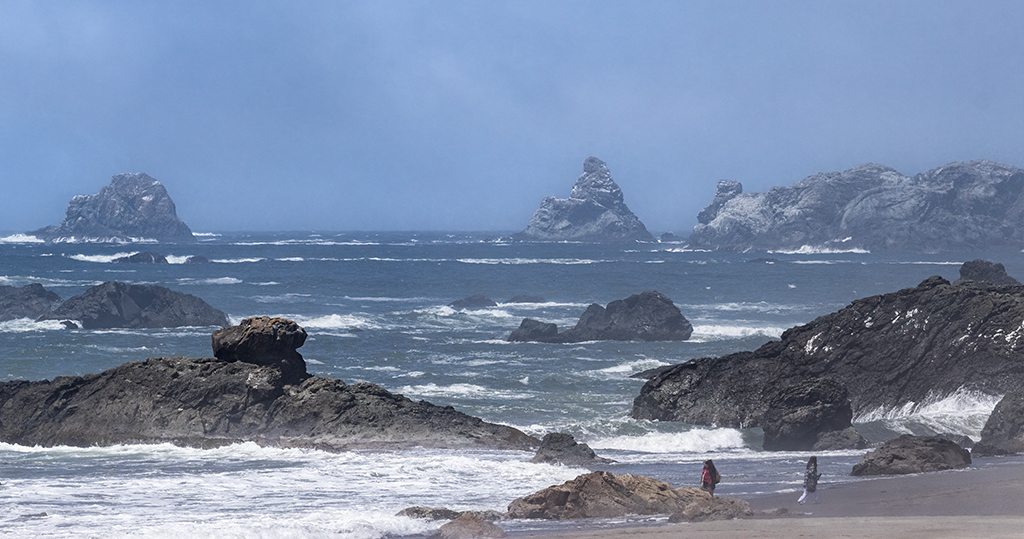 Windy Beach Walk by Darcy Quimby