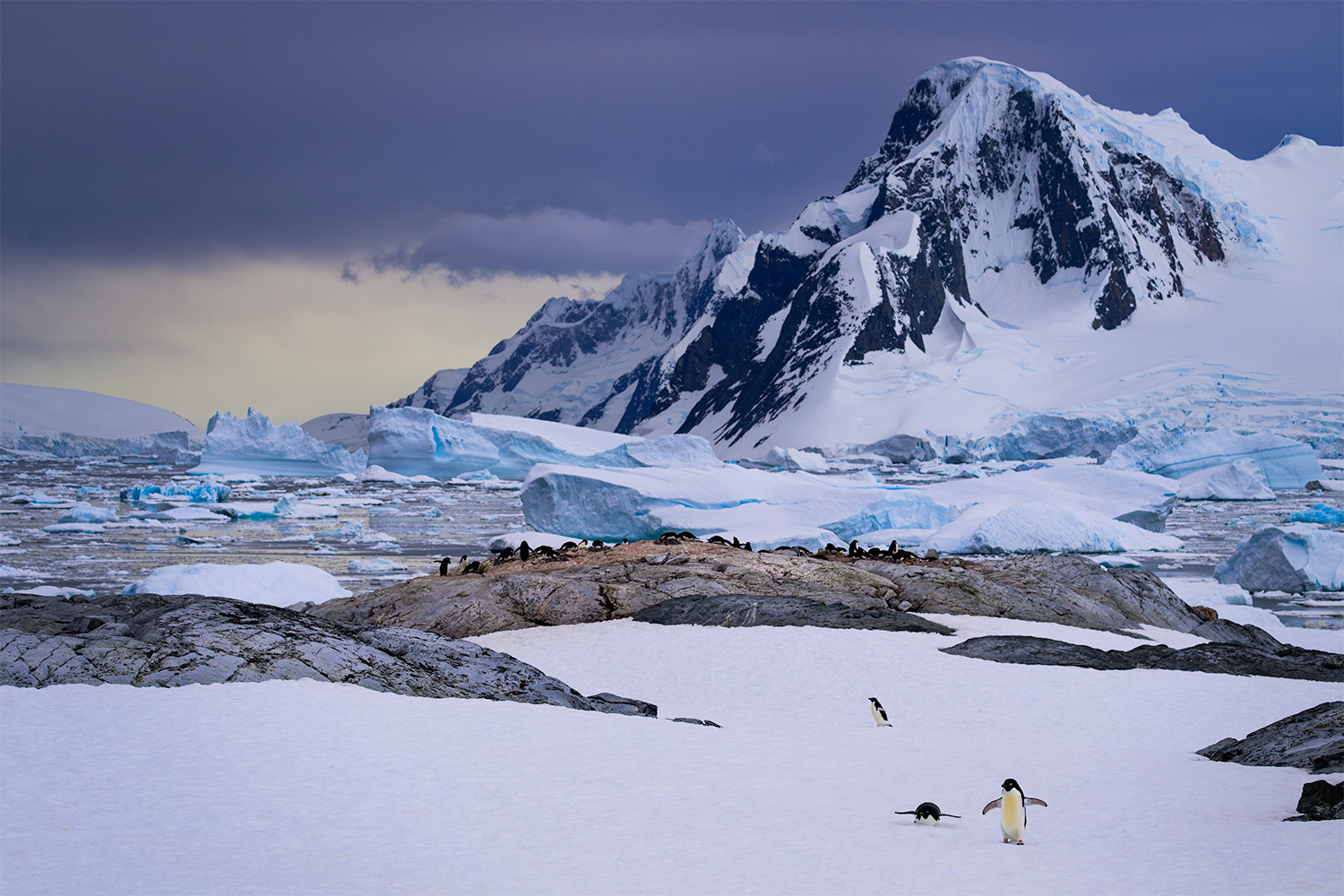 Yalour Islands, Antartica