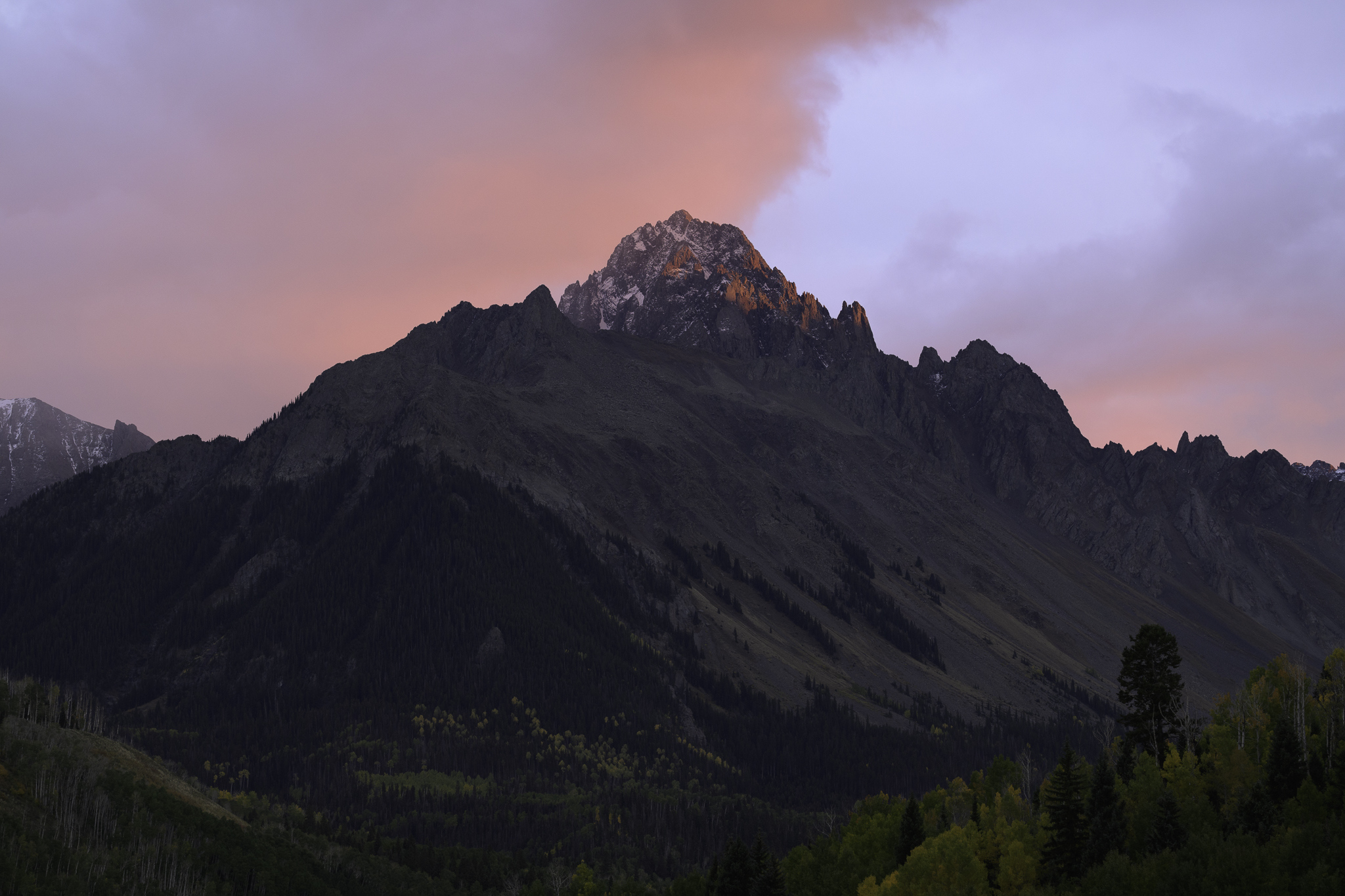 December 2025 - Dawn Gulino