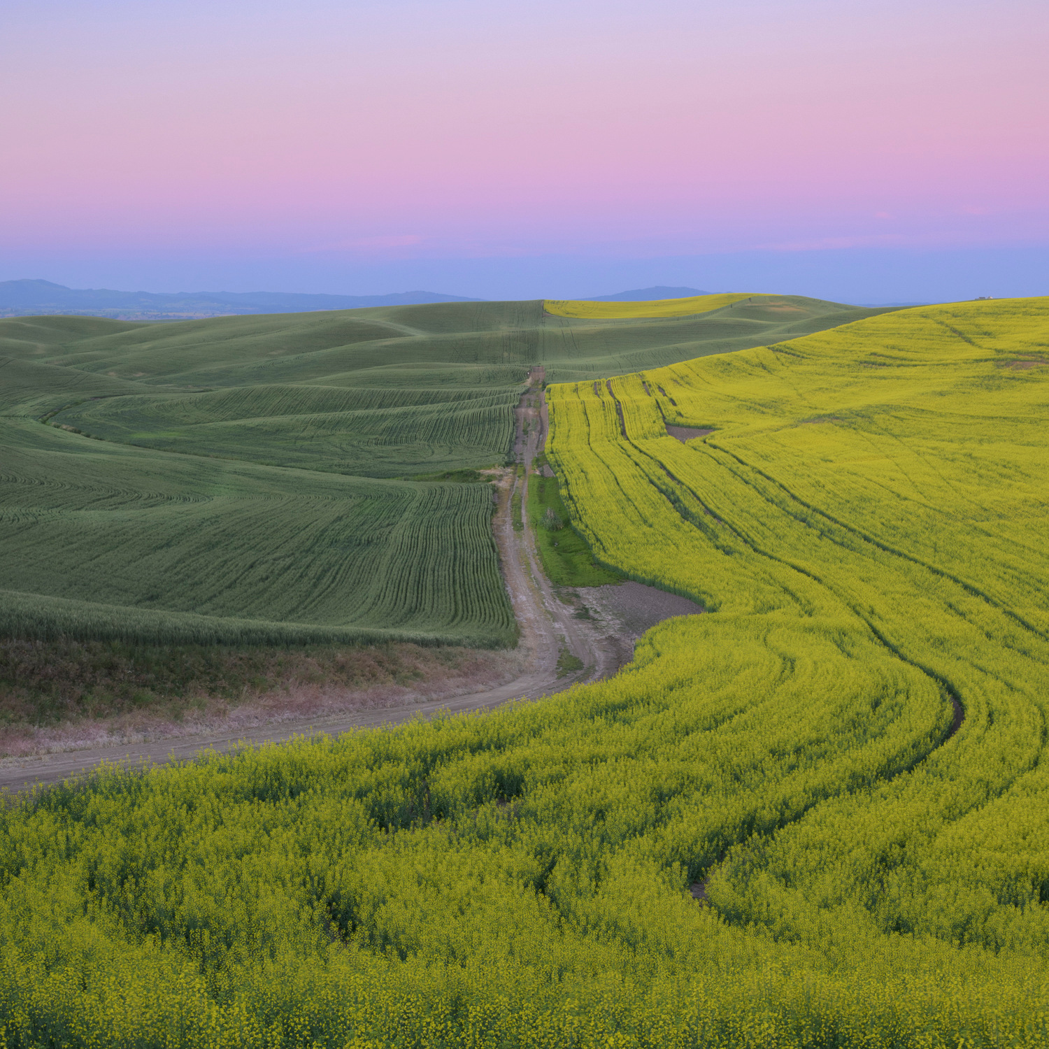 Somewhere in Idaho by Dawn Gulino