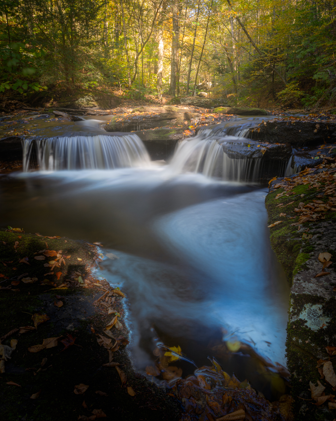 Ricketts Glen by George Schlossnagle