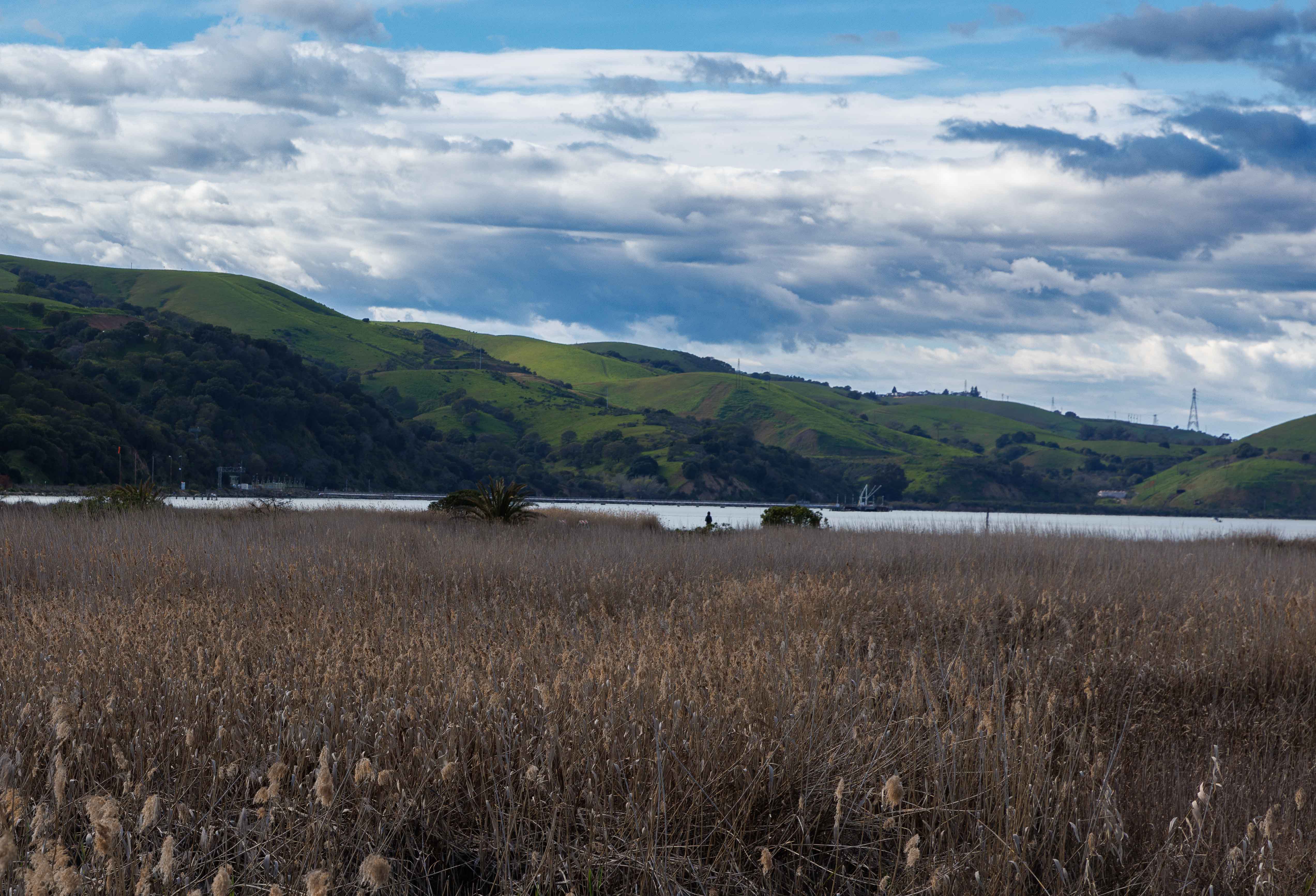 Martinez Hills by Neil Bellenie