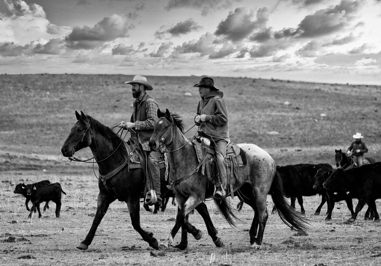 Cowboy Teamwork by Paul Smith